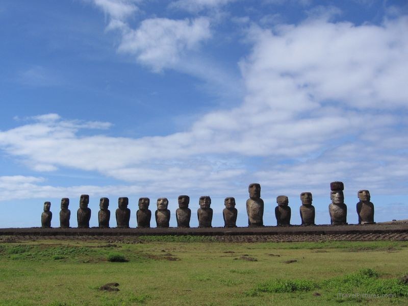 maoi Tongariki row